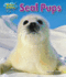 Seal Pups (Water Babies)