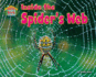 Inside the Spider's Web (Science Slam: Snug as a Bug-Where Bugs Live)