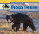 Sloth Bears (Asian Animals)