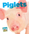 Piglets