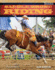 Saddle Bronc Riding (Xtreme Rodeo)