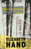 Generation Loss: a Novel (Cass Neary, 1)