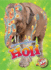 Holi (Celebrating Holidays, Level 2)