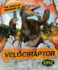 Velociraptor (the World of Dinosaurs)