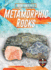 Metamorphic Rocks (Rocks & Minerals)