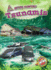 Tsunamis (Natural Disasters: Blastoff! Readers, Level 3) (Blastoff! Readers, Level 3: Natural Disasters)