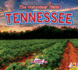 Tennessee (Explore the U.S.a. )