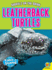 Leatherback Turtles (the Untamed World)