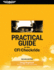 Practical Guide to the Cfi Checkride (Practical Exam Guide Series)