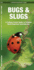 Bugs & Slugs: a Folding Pocket Guide to Familiar North American Invertebrates (Wildlife and Nature Identification)