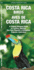 Costa Rica Birds Bilingual: a Folding Format: Paperback