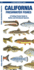 California Freshwater Fishes: a Waterpro Format: Paperback
