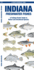 Indiana Freshwater Fishes a Waterproof Format: Paperback