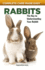 Rabbits: the Key to Understanding Your Rabbit