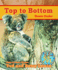 Top to Bottom: Down Under (Adventures Around the World)
