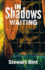 In Shadows Waiting