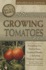 The Complete Guide to Growing Tomatoes: Everything You Need to Know Explained Simply-Including Heirloom Tomatoes (Back to Basics)