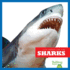 Sharks (Life Under the Sea)