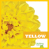 Yellow (Bullfrog Books: Colors in Nature) (Colors in Nature (Hardcover))