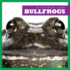 Bullfrogs (Bullfrog Books: My First Animal Library)