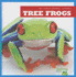 Tree Frogs (Bullfrog Books: My First Animal Library)