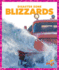 Blizzards (Pogo Books: Disaster Zone)