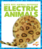 Electric Animals (Pogo: Back Off! Animal Defenses)