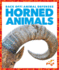 Horned Animals