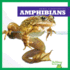 Amphibians (Bullfrog Books: Animal Classification)