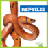 Reptiles (Bullfrog Books: Animal Classification)