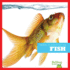 Fish (Bullfrog Books: Animal Classification)