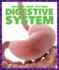 Digestive System (Pogo Books: Amazing Body Systems)
