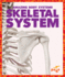 Skeletal System (Pogo Books: Amazing Body Systems)