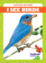 I See Birds (Tadpole Books: Outdoor Explorer)