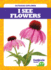 I See Flowers (Tadpole Books: Outdoor Explorer)