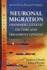 Neuronal Migration: Disorders, Genetic Factors & Treatment Options