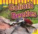 Goliath Beetles (Av2 Let's Read! Fascinating Insects)
