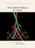 Myc and the Pathway to Cancer
