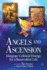 Angels and Ascension