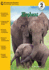 Elephant (Riverstream Readers: Level 2)