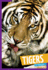 Tigers (Wild Cats)