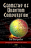 Geometry of Quantum Computation (Computational Mathematics and Analysis Series)