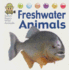 Freshwater Animals (Safari Sam's Wild Animals)