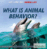 What is Animal Behavior? (Let's Find Out! Animal Life)