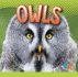 Owls (Awesome Animal Lives)