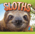 Sloths (Awesome Animal Lives)