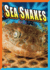 Sea Snakes (Super Sea Creatures)
