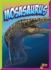 Mosasaurus (Dinosaur Discovery)