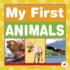 My First Animals (Maple Leaf Learners: My First)