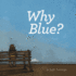 Why Blue
